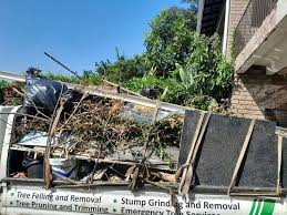 Best Shed Removal  in Beltsville, MD